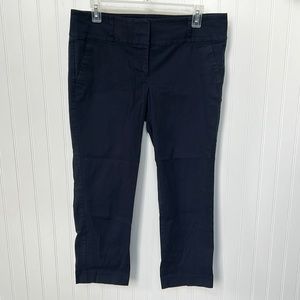 Ann Taylor Crop Pants